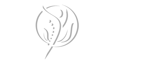 Chiropractic Conroe TX Covenant Chiropractic Center Logo